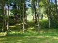 Ladysmith Residential Real Estate