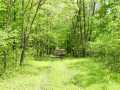 Knapp Land Real Estate