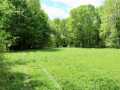 Knapp Land Real Estate