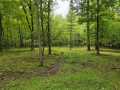 Ridgeland Land Real Estate