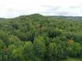 Ridgeland Land Real Estate