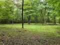 Ridgeland Land Real Estate