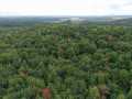Ridgeland Land Real Estate