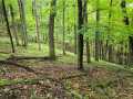 Ridgeland Land Real Estate