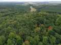 Ridgeland Land Real Estate