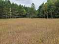 Ridgeland Land Real Estate