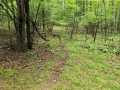 Ridgeland Land Real Estate