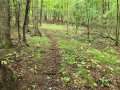 Ridgeland Land Real Estate