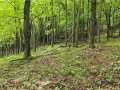 Ridgeland Land Real Estate