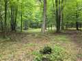Ridgeland Land Real Estate