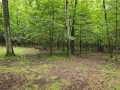 Ridgeland Land Real Estate
