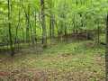 Ridgeland Land Real Estate