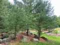 Menomonie Residential Real Estate