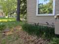 Menomonie Residential Real Estate