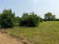 Mondovi Land Real Estate