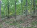 Colfax Land Real Estate