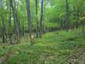 Colfax Land Real Estate