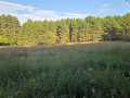 Colfax Land Real Estate