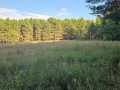Colfax Land Real Estate
