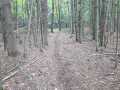 Colfax Land Real Estate