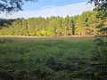 Colfax Land Real Estate