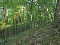 Colfax Land Real Estate