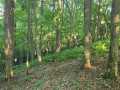 Colfax Land Real Estate