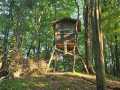 Colfax Land Real Estate