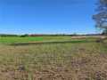 Wheeler Land Real Estate