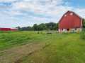 Elk Mound Residential Real Estate