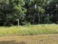Mondovi Land Real Estate