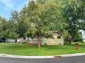Colfax Residential Real Estate