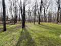 Birchwood Residential Real Estate