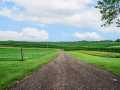 Menomonie Residential Real Estate