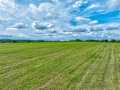 Elk Mound Land Real Estate
