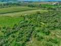 Elk Mound Land Real Estate