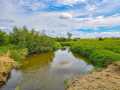 Elk Mound Land Real Estate