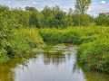 Elk Mound Land Real Estate