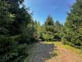 Colfax Land Real Estate
