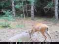 Colfax Land Real Estate