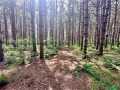 Colfax Land Real Estate