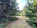 Colfax Land Real Estate