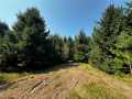 Colfax Land Real Estate