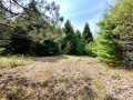 Colfax Land Real Estate
