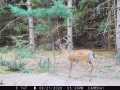 Colfax Land Real Estate