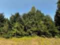 Colfax Land Real Estate