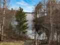 Birchwood Residential Real Estate