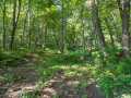 Colfax Land Real Estate