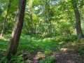 Colfax Land Real Estate