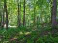 Colfax Land Real Estate